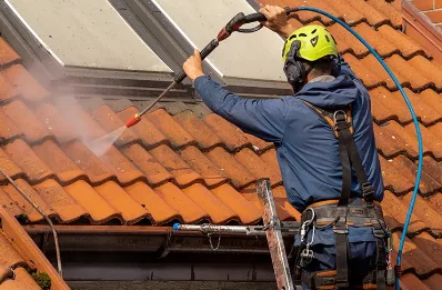 Démoussage et hydrofuge de toiture à Loubieng
